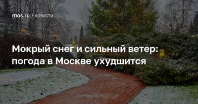 Мокрый снег и сильный ветер: погода в Москве ухудшится - mos.ru - Москва