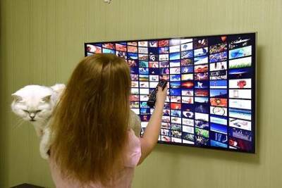 Стало известно количество готовых платить за видеоконтент в интернете россиян - lenta.ru