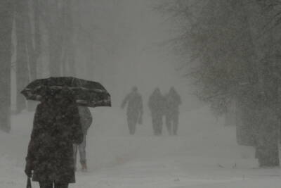 Более 3 тысяч жителей Псковской области остались без света из-за сильного снегопада - mk-pskov.ru - Псковская обл. - Печорск