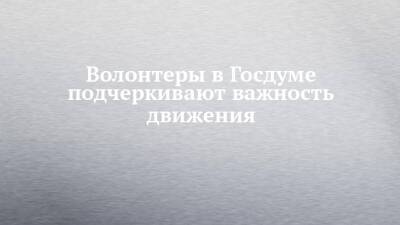 Волонтеры в Госдуме подчеркивают важность движения - chelny-izvest.ru - Россия - респ. Татарстан