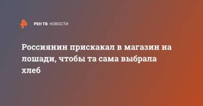Россиянин прискакал в магазин на лошади, чтобы та сама выбрала хлеб - ren.tv - Курская обл.