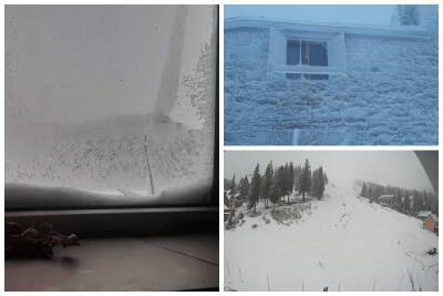 Снег обрушился на украинскую землю, видимость упала до 40 метров: чарующие фото - politeka.net - Украина