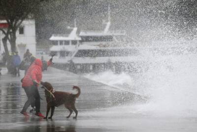 Обрушившийся на Стамбул ураган, унес жизни двух человек: пользователи публикуют ужасные кадры - unn.com.ua - Украина - Киев - Турция - Анкара - Стамбул