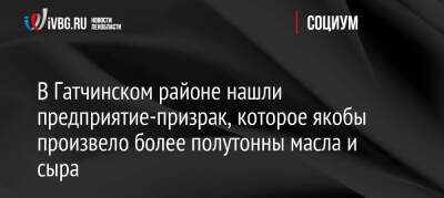 В Гатчинском районе нашли предприятие-призрак, которое якобы произвело более полутонны масла и сыра - ivbg.ru - Украина - Ленинградская обл.