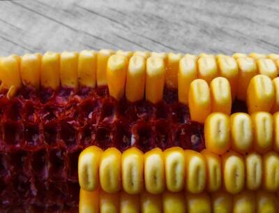 Эксперт: Украине придется конкурировать с США на европейском рынке кукурузы - agroportal.ua - США - Украина - Бразилия - Аргентина