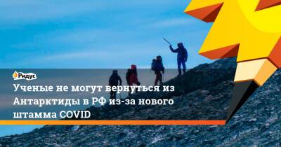 Ученые не могут вернуться из Антарктиды в РФ из-за нового штамма COVID - ridus.ru - Россия - Антарктида - Уральск - Юар - Кейптаун