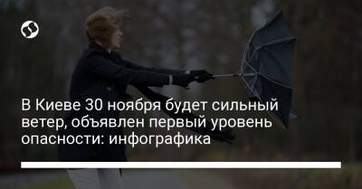 В Киеве 30 ноября будет сильный ветер, объявлен первый уровень опасности: инфографика - liga.net - Украина - Киев