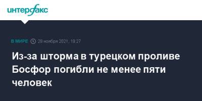 Из-за шторма в турецком проливе Босфор погибли не менее пяти человек - interfax.ru - Москва - Турция - Стамбул
