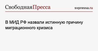 Александр Грушко - В МИД РФ назвали истинную причину миграционного кризиса - svpressa.ru - Москва - Россия - Белоруссия - Польша - Литва - Латвия