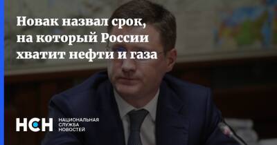 Александр Новак - Новак назвал срок, на который России хватит нефти и газа - nsn.fm - Россия