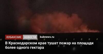 В Краснодарском крае тушат пожар на площади более одного гектара - kubnews.ru - Анапа - Краснодарский край - Гренландия