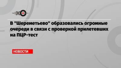 В «Шереметьево» образовались огромные очереди в связи с проверкой прилетевших на ПЦР-тест - echo.msk.ru - Москва - Китай - Англия - Израиль