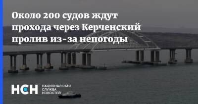 Алексей Кравченко - Около 200 судов ждут прохода через Керченский пролив из-за непогоды - nsn.fm