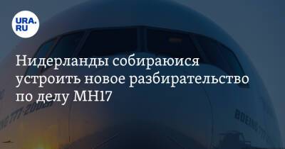 Нидерланды собираются устроить новое разбирательство по делу MH17 - ura.news - Россия - Голландия