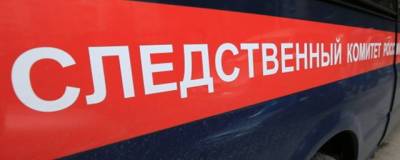 СК ведёт проверку по факту невыплаты зарплаты сотрудникам ЧОП в Новосибирске - runews24.ru - Россия - Новосибирск - Новосибирская обл.