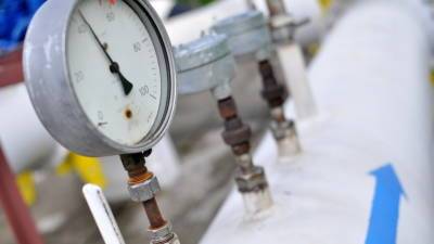 Вадим Чебан - «Газпром» увеличил поставки газа в Болгарию - russian.rt.com - Россия - Молдавия - Болгария