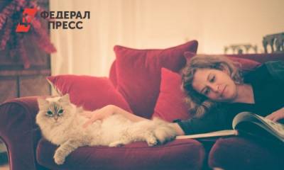 Почему в Иларионов день нельзя выходить из дома - fedpress.ru - Москва - Русь