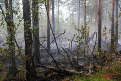 В Хабаровском крае выросло число пожаров - hab.aif.ru - Хабаровский край