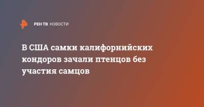 В США самки калифорнийских кондоров зачали птенцов без участия самцов - ren.tv - США - Сан-Диего