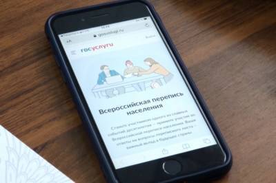 В Хабаровске продлили перепись на «Госуслугах» - hab.aif.ru - Хабаровск