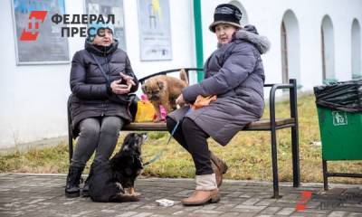 Что станет с пенсиями россиян после индексации: ответ финансиста - fedpress.ru - Москва - Россия