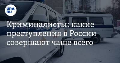 Михаил Игнатов - Криминалисты: какие преступления в России совершают чаще всего - ura.news - Россия