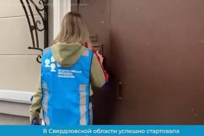 Половина жителей Свердловской области уже приняла участие в переписи - eburg.mk.ru - Свердловская обл. - Курганская обл.