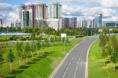 Петр Бирюков - Петр Бирюков: более 500 деревьев и 9,3 тыс. кустарников высадили на участке Ленинского проспекта - mk.ru - Москва