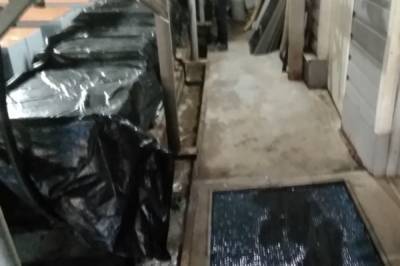 На рыбзаводе в Хабаровском крае выявили нарушения - hab.aif.ru - Хабаровский край - Магаданская обл.