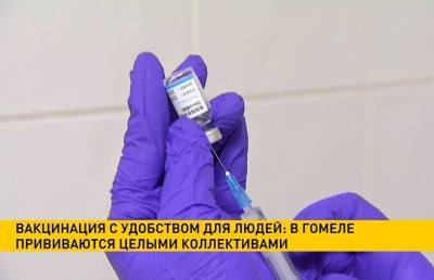 Почти 38% жителей Гомельской области получили первую дозу вакцины от коронавируса - ont.by - Белоруссия - Гомель - Гомельская обл.