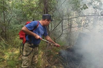 Жители микрорайона Солнечный жалуются на запах гари в Екатеринбурге - eburg.mk.ru - Россия - Екатеринбург - Свердловская обл.