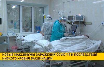 Число жертв COVID-19 в мире достигло 5 млн человек - ont.by - Белоруссия - Эстония - Литва