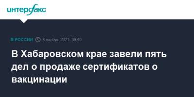 Евгений Никонов - В Хабаровском крае завели пять дел о продаже сертификатов о вакцинации - interfax.ru - Москва - Россия - Хабаровский край - Хабаровск