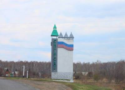Новорожденную девочку подкинули к ковидному госпиталю в Омской области - province.ru - Омская обл.