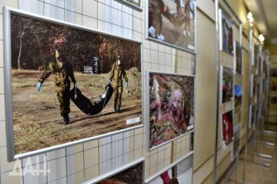 Почти 150 неизвестных жертв конфликта на Донбассе эксгумированы в ДНР - eadaily.com - ДНР - ЛНР