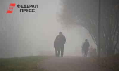 Жителей Ленобласти предупредили о густом тумане - fedpress.ru - Ленинградская обл. - Санкт-Петербург