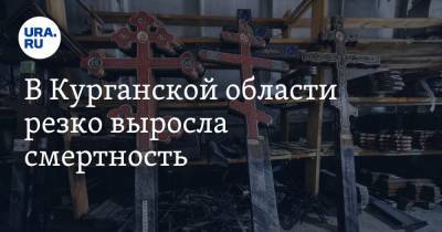 В Курганской области резко выросла смертность - ura.news - Курганская обл.