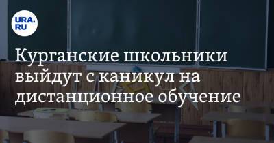 Курганские школьники выйдут с каникул на дистанционное обучение - ura.news - Курганская обл.