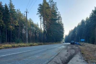 Водитель «Фольксвагена» съехал в кювет в Опочецком районе - mk-pskov.ru - Россия - Псковская обл. - Псков