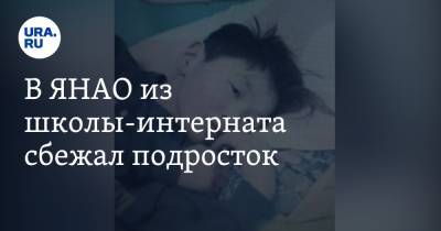В ЯНАО из школы-интерната сбежал подросток - ura.news - Россия - окр. Янао - район Тазовский