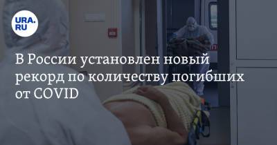 В России установлен новый рекорд по количеству погибших от COVID - ura.news - Россия - США