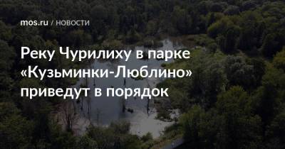 Реку Чурилиху в парке «Кузьминки-Люблино» приведут в порядок - mos.ru - Москва - Благоустройство