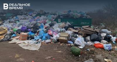 В татарстанском селе Большие Кабаны образовалась свалка бытовых отходов - realnoevremya.ru - Россия - респ. Татарстан - район Лаишевский - Экология