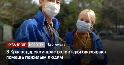 В Краснодарском крае волонтеры оказывают помощь пожилым людям - kubnews.ru - Краснодарский край