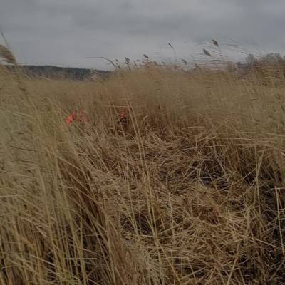 Спасатели продолжают поиски пропавшего под Карабашом рыбака, несмотря на снег - znak.com - Челябинская обл.