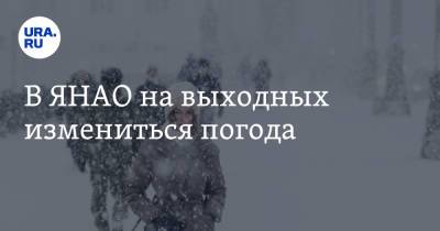 В ЯНАО на выходных измениться погода - ura.news - окр. Янао
