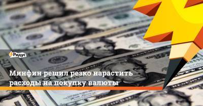 Минфин решил резко нарастить расходы на покупку валюты - ridus.ru - Россия