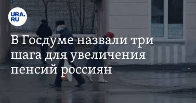 Владимир Путин - Ярослав Нилов - В Госдуме назвали три шага для увеличения пенсий россиян - ura.news - Россия