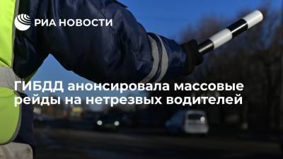 ГИБДД анонсировала массовые рейды на нетрезвых водителей в ноябрьские праздники - ria.ru - Москва - Россия