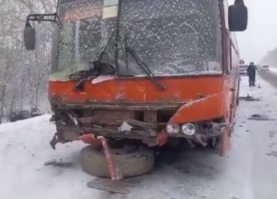 Два человека погибли на трассе на Алтае в ДТП с рейсовым автобусом - province.ru - респ. Алтай - Бийск